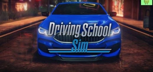 Driving School Sim hack