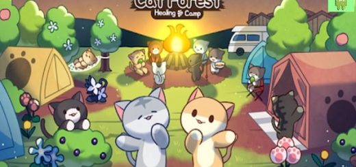 Floresta do Gato