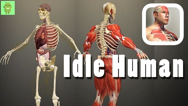 Idle Human unlimited everything